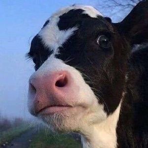 Meet your Posher, Ethan